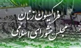 همه نمایندگانی که به وزیر کشور تذکر دادند/ آیا میان نمایندگان زن و رییس فراکسیون زنان اختلافی درمیان است؟