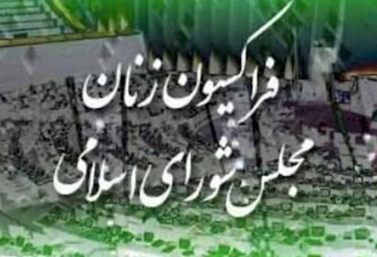 همه نمایندگانی که به وزیر کشور تذکر دادند/ آیا میان نمایندگان زن و رییس فراکسیون زنان اختلافی درمیان است؟