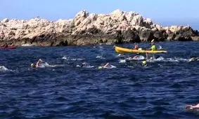 شرکت هزاران تن در چالش «مونت کریستو» فرانسه