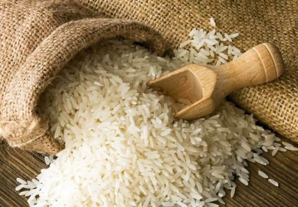 کاهش قیمت برنج ایرانی در بازار