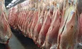 چرا گوشت ارزان نمی‌شود؟