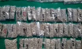 کشف ۲۹ هزار قرص متادون فاقد مجوز فروش در اکباتان + تصاویر