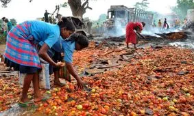 اینفوگرافیک| چه کشورهایی کمترین و بیشترین هزینه را برای غذا می‌پردازند؟