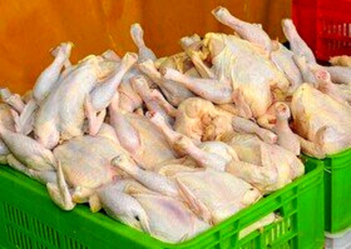 شوک دوباره به قیمت مرغ در بازار / تلاش مرغداران برای گران کردن مرغ منجمد