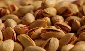 صادرات پسته نصف شد