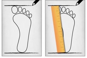 آیا می‌دانید چرا سایز پاهایمان در طول چهل سال گذشته دو شماره بزرگ‌تر شده است؟