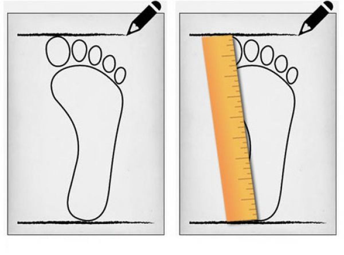 آیا می‌دانید چرا سایز پاهایمان در طول چهل سال گذشته دو شماره بزرگ‌تر شده است؟