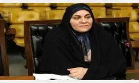 درخواست کنایه‌ای یک اصلاح‌طلب از دلواپسان نفتی: لطفا یک هفته به مرخصی بروید، زنگنه در اوپک کار سختی دارد