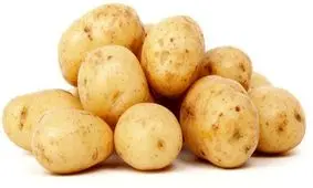 سیب زمینی ۹۵۰۰ تومان شد!