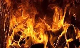 آتش سوزی درخت کاج خشک شده براثر گرمای شدید در بلوار فلسطین