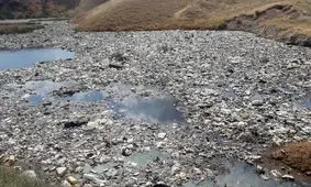 چرخه ناکارآمد تفکیک زباله در تبریز/دلال های پسماند در نبود مدیریت زباله+ تصاویر