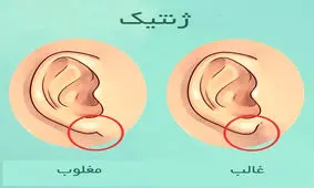 آنچه گوش ها درباره سلامتی می گویند