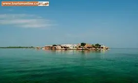 پرجمعیت ترین جزیره کوچک جهان! +تصاویر