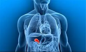 راز‌هایی عجیب و پیچیده درباره بدن انسان