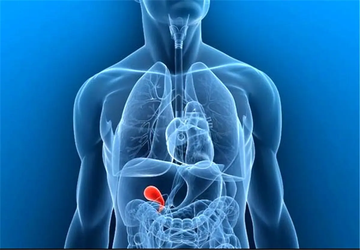 راز‌هایی عجیب و پیچیده درباره بدن انسان