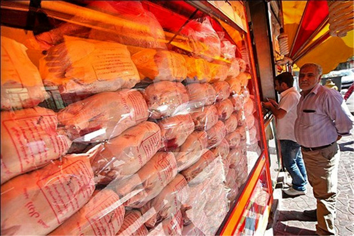 افزایش ۱۵۰ تومانی نرخ مرغ در بازار/قیمت واقعی هر کیلو مرغ گرم ۱۴ هزار تومان