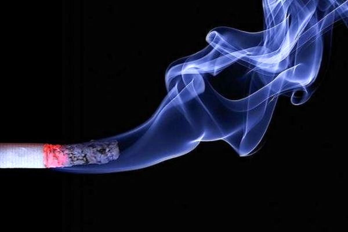 دود سیگار سبب افزایش مقاومت باکتری های بیماری زا می شود