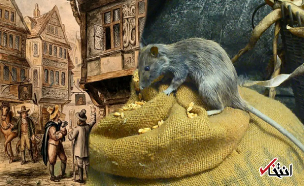 آزمون عجیب پزشکان برای درمان طاعون در دهه 1660