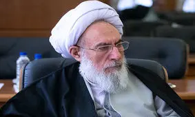 مجتهدشبستری: مجمع فرصت بررسی پالرمو را دارد، عجله‌ای نیست