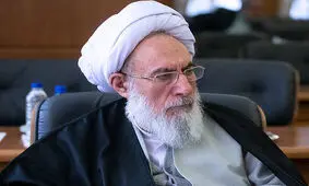 مجتهدشبستری: مجمع فرصت بررسی پالرمو را دارد، عجله‌ای نیست