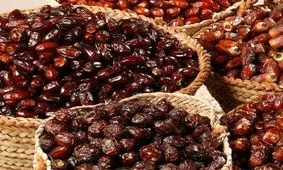 تولید خرما به یک میلیون و ۲۰۰ هزار تن می‌رسد/ تعادل قیمت خرما تا یک ماه آینده در بازار