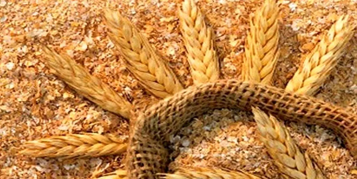 قیمت سبوس گندم 1250 تومان تعیین شد