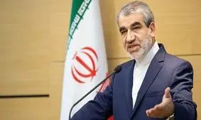 کدخدایی: شورای نگهبان «مکلّف» به نظارت بر انتخابات است
