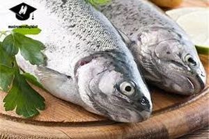 نکات تغذیه‌ای برای کنکوری‌ها؛ شب قبل از کنکور ماهی بخورید
