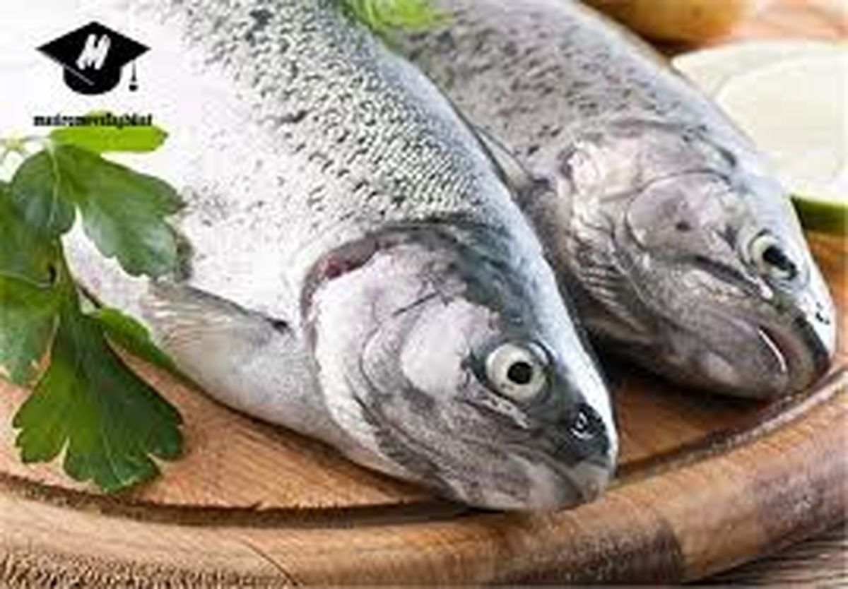نکات تغذیه‌ای برای کنکوری‌ها؛ شب قبل از کنکور ماهی بخورید