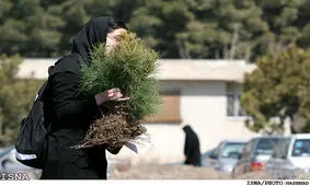 درخت‌كاري يا كار درختي يا درخت‌جاري!