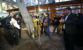 ماندگاری نهالی برای ملاقلی‌پور / پلاک به موزه سینما رسید