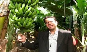 ایران گواهی بین‌المللی ارگانیک برای ۳۵ محصول کشاورزی را اخذ کرد