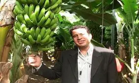 ایران گواهی بین‌المللی ارگانیک برای ۳۵ محصول کشاورزی را اخذ کرد