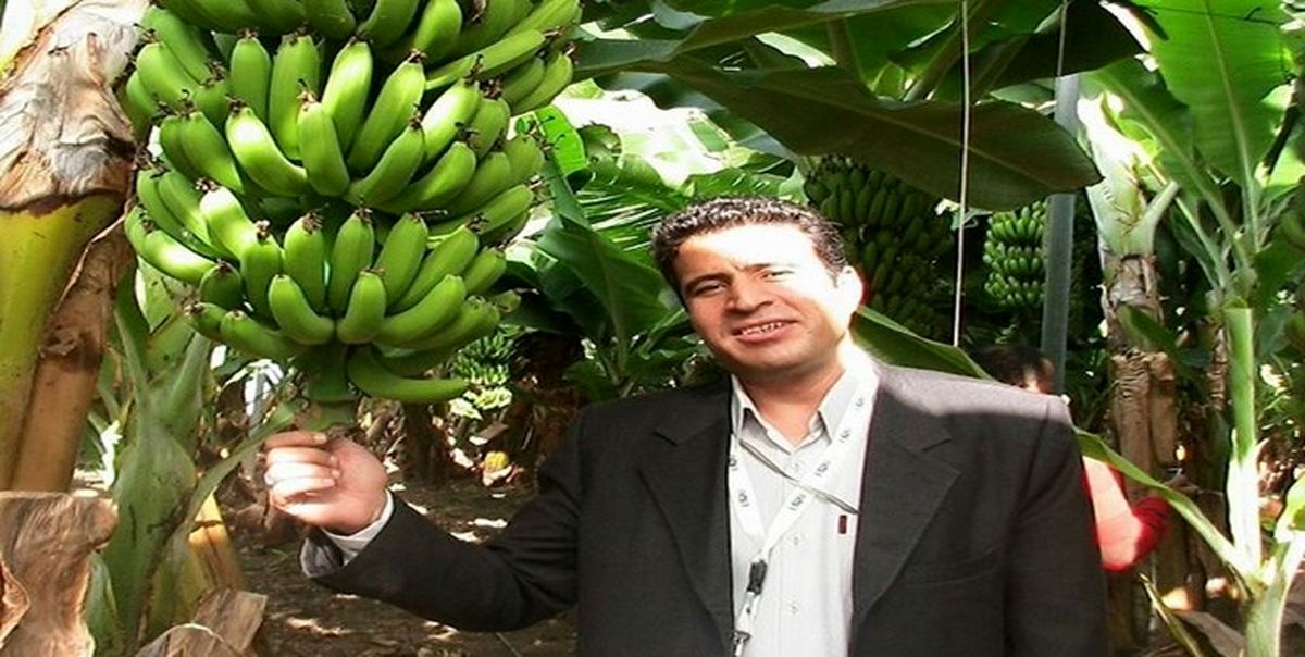 ایران گواهی بینالمللی ارگانیک برای ۳۵ محصول کشاورزی را اخذ کرد