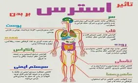 تأثیر استرس بر بدن