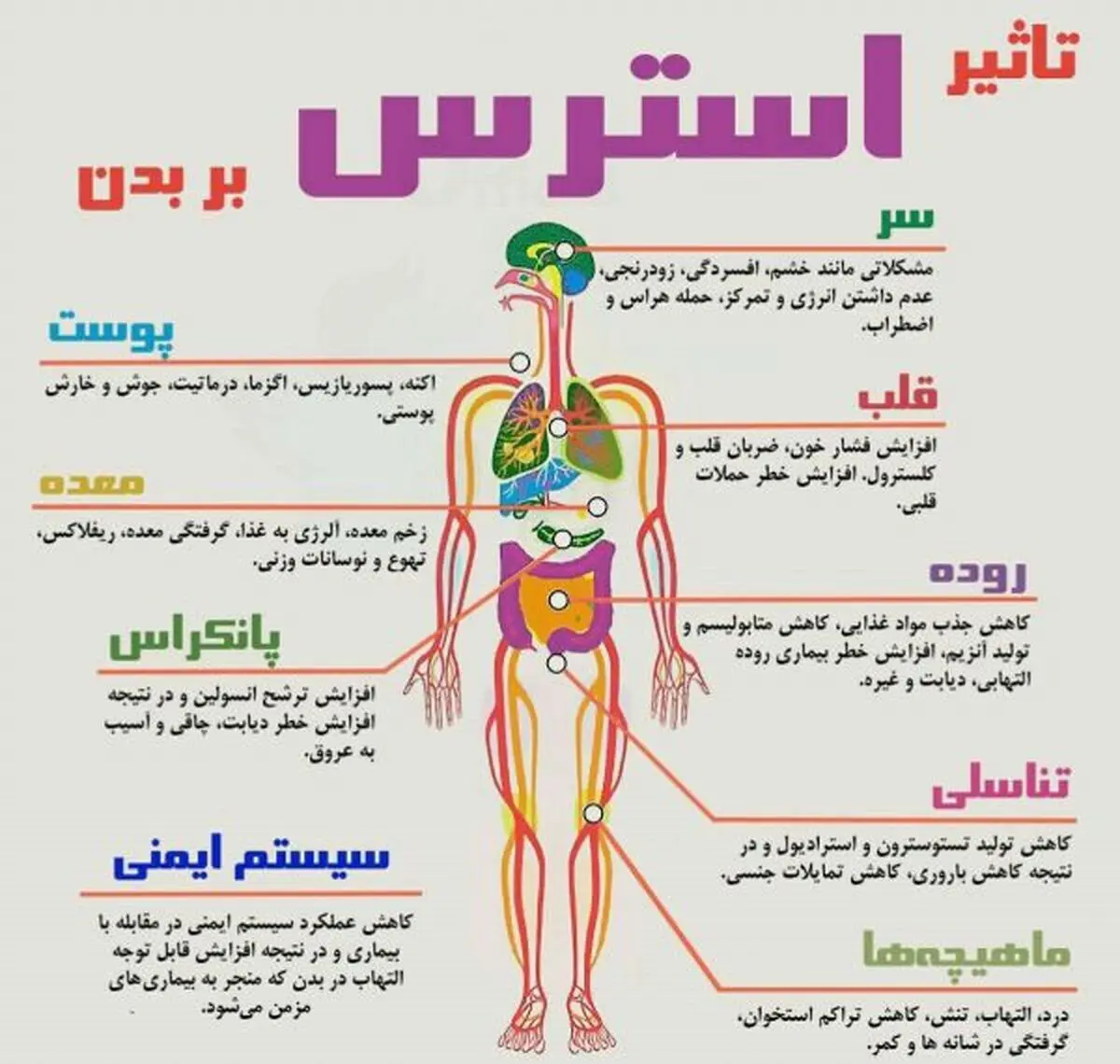 تأثیر استرس بر بدن