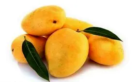 جشن ورود انبه به بازار هرمزگان