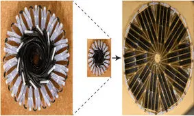 این پنل خورشیدی در معرض دما تغییر شکل می‌دهد!