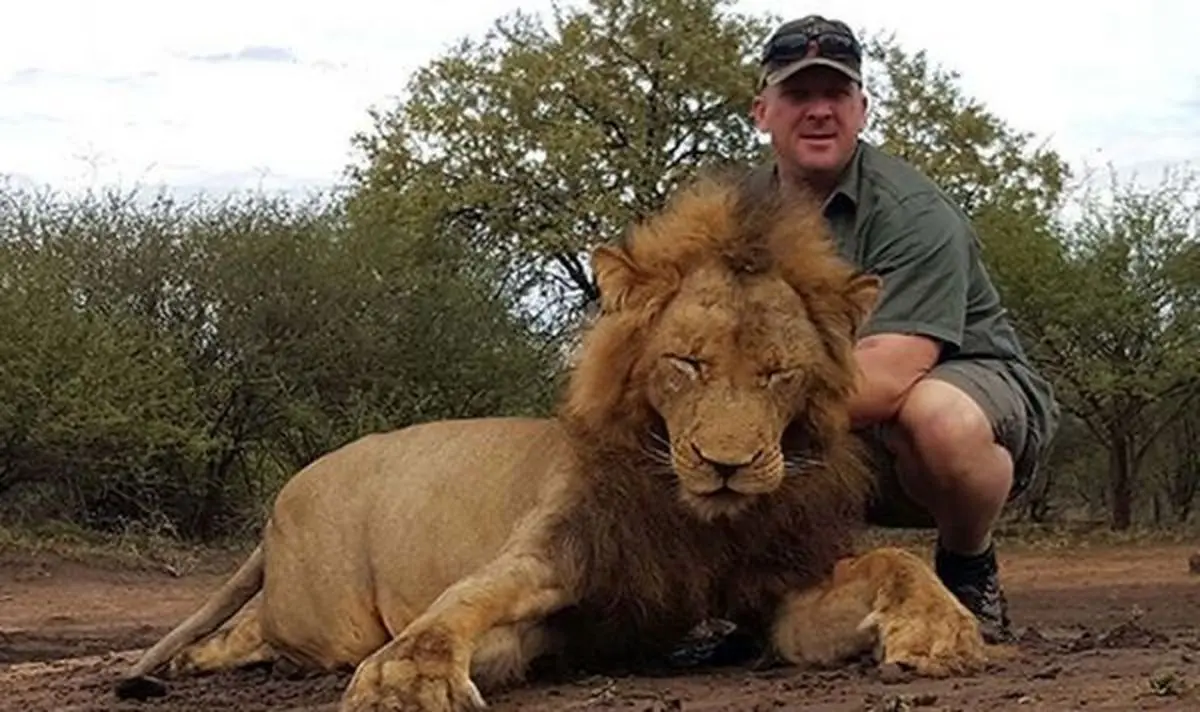 شکارچی‌ای که به کشتن حیوانات غول پیکر اعتیاد دارد! +تصاویر
