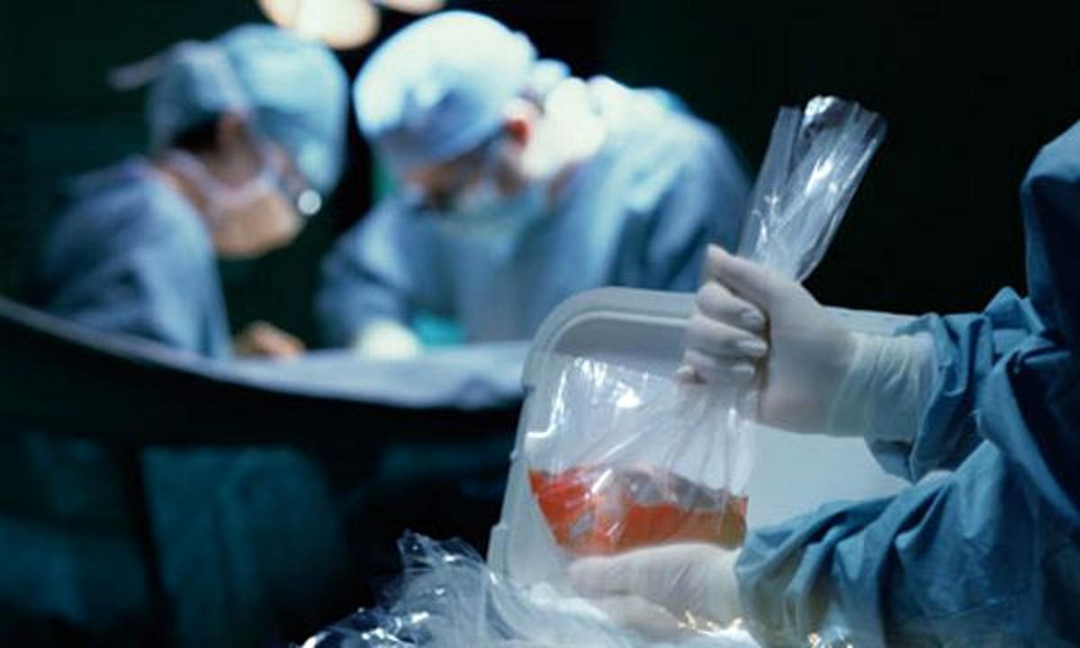 اهدای عضو محکومان اعدامی از منظر حقوقی ایرادی ندارد/ اجباری در اهدای عضو محکومان نیست/ چرا میگوییم غیر اخلاقی؟ وقتی جان انسان دیگری نجات پیدا میکند
