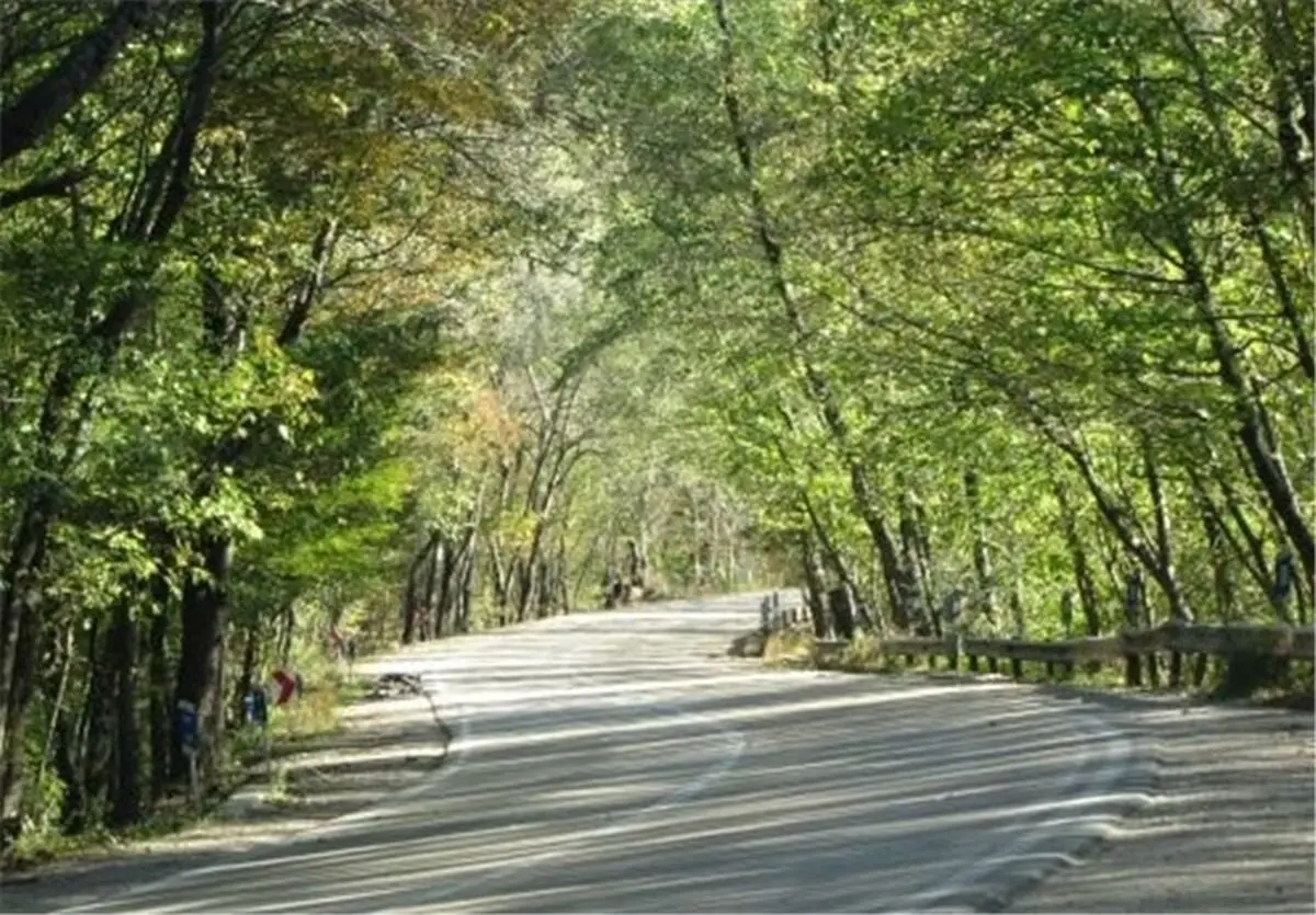 کمپ گردشگری در پارک ملی گلستان برپا می‌شود