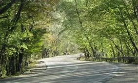 کمپ گردشگری در پارک ملی گلستان برپا می‌شود
