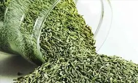 ایران پنجمین صادر کننده زیره در جهان/افزایش ۲ برابری صادرات گیاهان دارویی در راه است