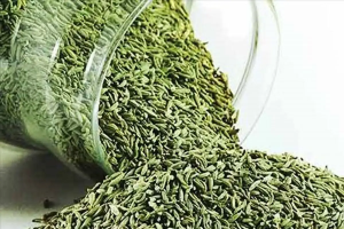 ایران پنجمین صادر کننده زیره در جهان/افزایش ۲ برابری صادرات گیاهان دارویی در راه است