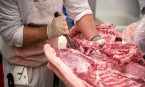 شناسایی ۲ مورد بیماری تب‌کریمه‌کنگو در اردبیل