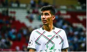 تراکتور شکاری را شکار می‌کند؟