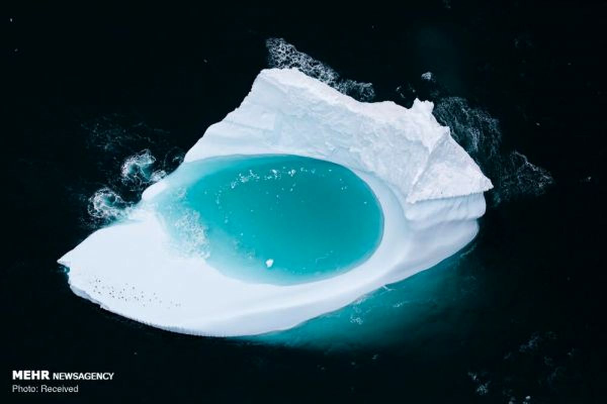 آب شدن یخ های قطبی‎+ عکس