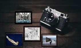 شهر فرنگ؛ از قوهای ملکه بریتانیا تا جشن تولد پاندای چینی