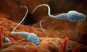 دلایل ناباروری مردان، آزواسپرمی درمان دارد؟