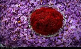 طرح ضربتی مقابله با فروش "زعفران تقلبی" در اطراف حرم امام رضا(ع)؛ پیشگیری از "فله‌فروشی" در انتظار تصویب